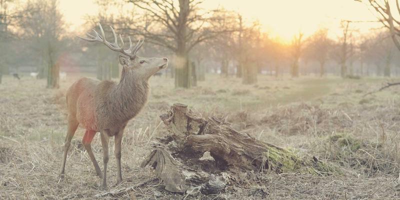 从合规到价值创造：高磊咨询揭示如何将ESG战略深度融入企业运营与团队建设