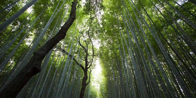 破局增长：高磊咨询如何通过供应链管理咨询实现降本增效与韧性重塑