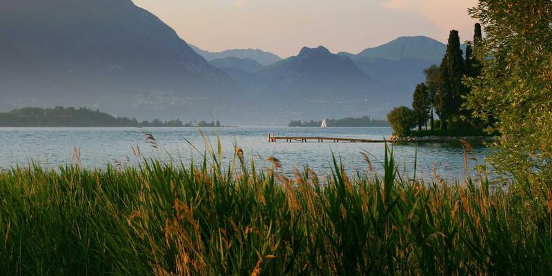 筑牢企业生命线：内部控制与风险防范体系如何驱动可持续增长